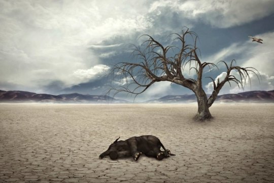 mass-extinction-worse-than-thought-study-drought-1-889x593